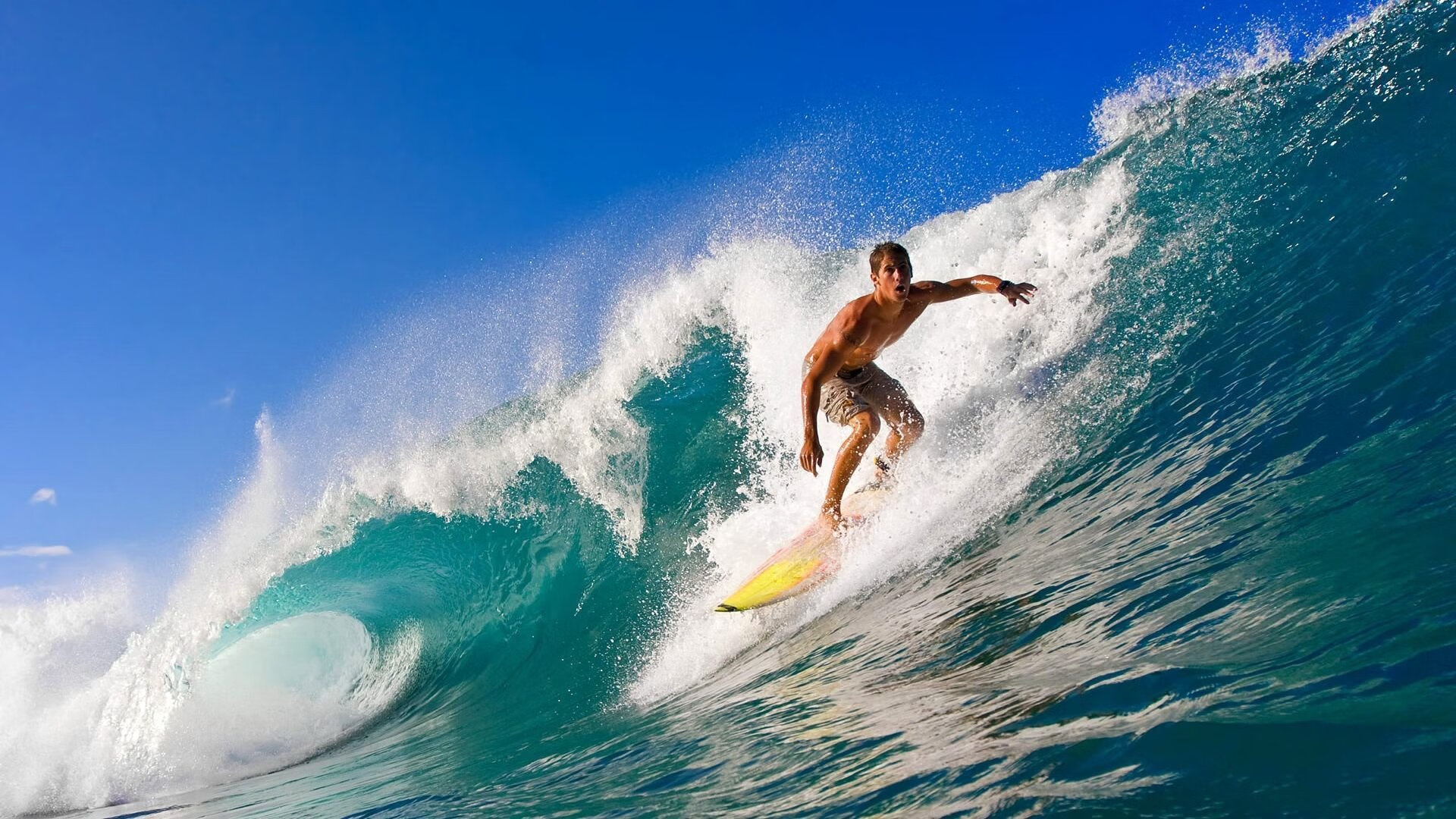 爱游戏在线-佩德里,在F1引擎的轰鸣中,他踢出了足球的纯粹